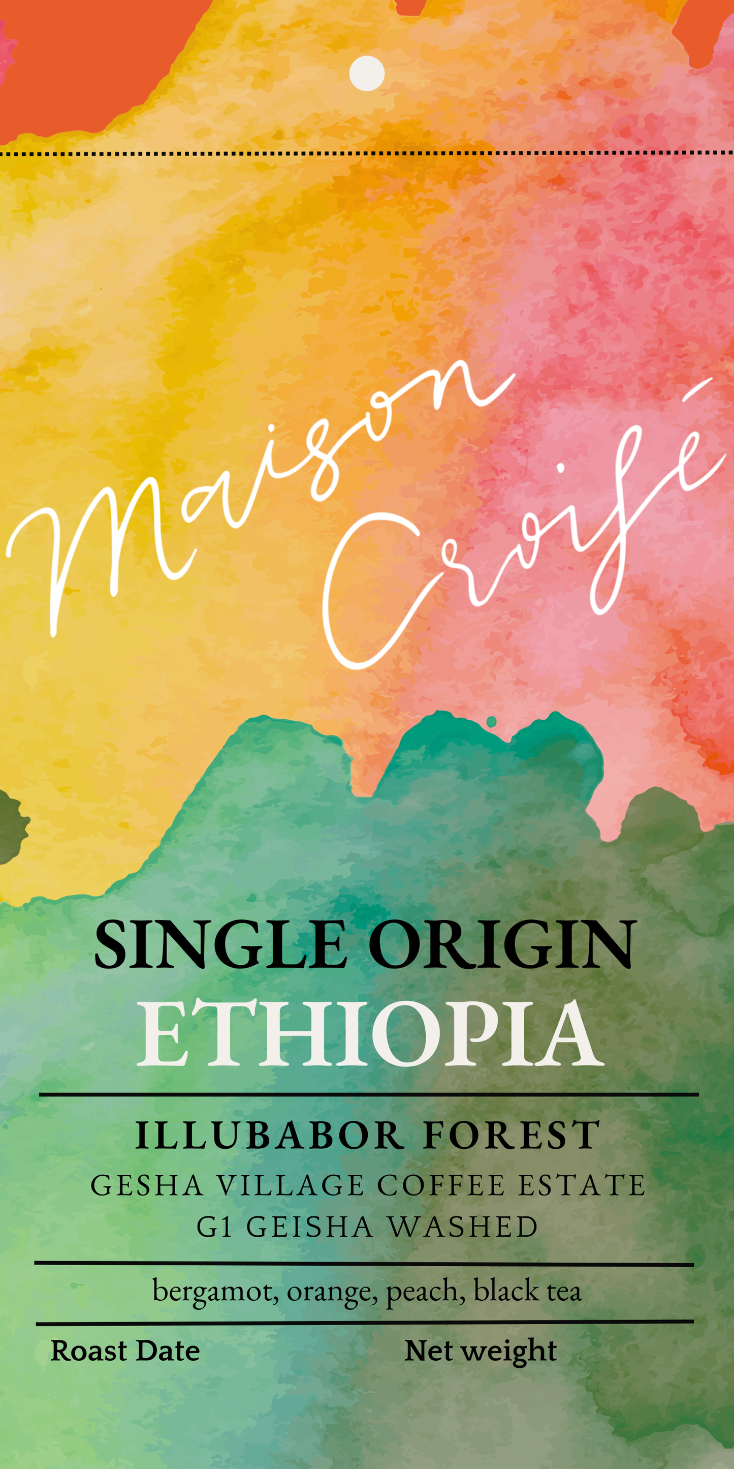 Ethiopia Illubabor Forest Gesha Village G1 Geisha Washed